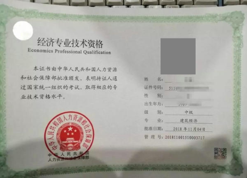 職業(yè)指導(dǎo)師可以參與職稱中級_中級經(jīng)濟(jì)師職稱可以按中級職稱算嗎_中級消防證算職稱嗎