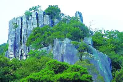 北京西溝原始森林圖片_北京西溝原始森林_原始古老森林風格裝修