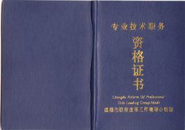 高級經(jīng)濟論文發(fā)表期刊_參評高級經(jīng)濟師條件_高級育兒師師報名條件