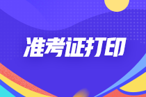王琳準考證照片_公務員準考證照片_英語4級準考證