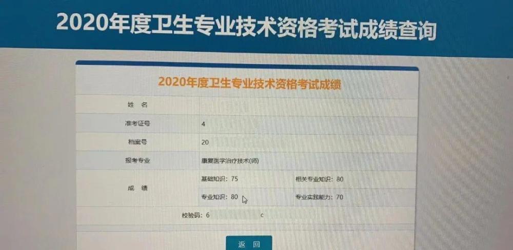 中國衛生人才考試網_中國衛生人才網站_中國衛生人才成績查詢