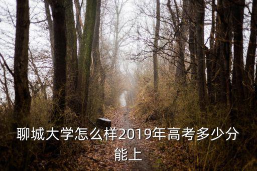 聊城大學怎么樣2019年高考多少分能上