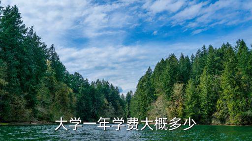 大學(xué)一年學(xué)費(fèi)大概多少