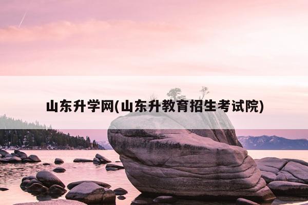 山東招生考試院網_中飛院官網招生錄取分數線_廣西招生院官網