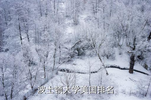 波士頓大學美國排名