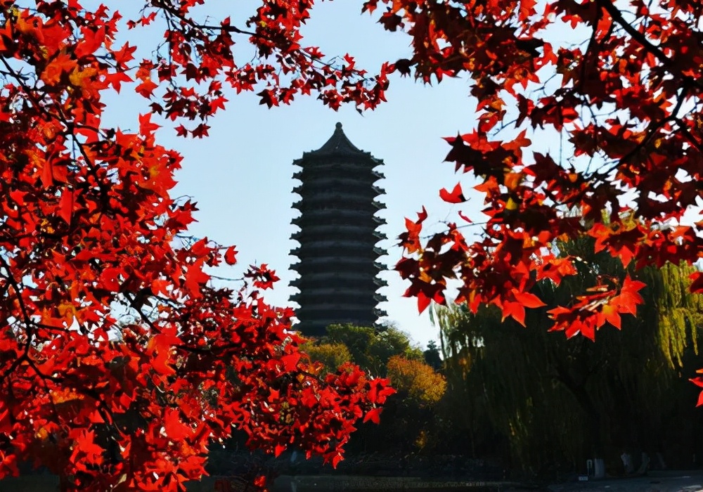 380分理科上什么大學_理科380分的大學_理科大學300分