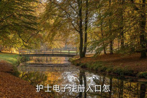 護士電子注冊入口怎