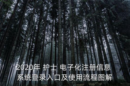 2020年 護士 電子化注冊信息 系統登錄入口及使用流程圖解