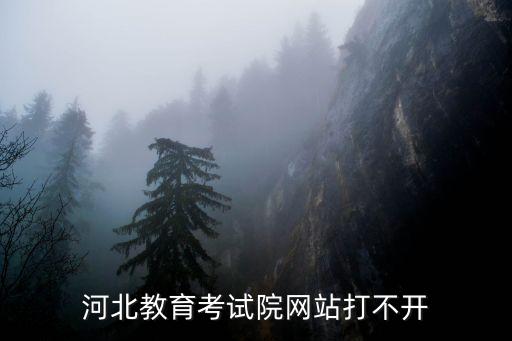 河北教育考試院網(wǎng)站打不開
