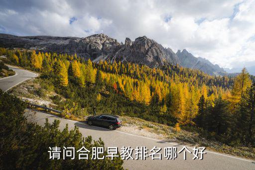 請問合肥早教排名哪個好