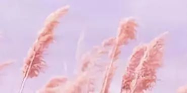 寶貝感受到它在愛你嗎病嬌小說_寶貝好好感受它 愛你_寶貝感言短語(yǔ)