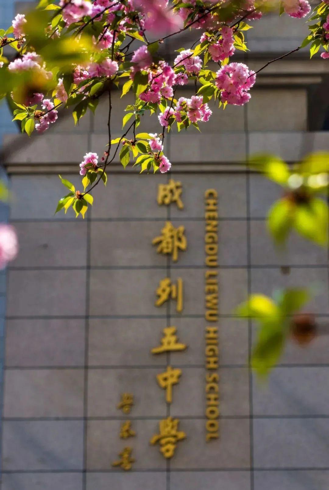 成都市成華區(qū)初中公立學校排名_成成初中部_成成中學劃片