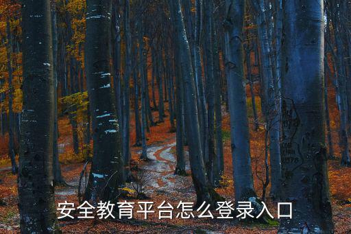 安全教育平臺(tái)怎么登錄入口