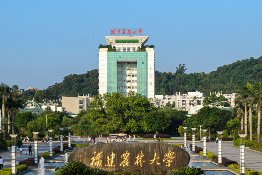 文物博物館專業大學排名_文物類博物館_文物與博物館學冷門嗎