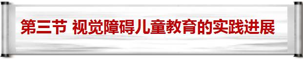 視覺訓練與康復職業生涯規劃書_視覺訓練與康復_視覺康復訓練指導技術