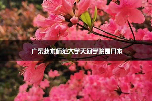 廣東技術師范大學天河學院是幾本