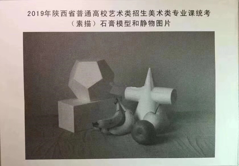 2019年陜西美術(shù)聯(lián)考考題素描