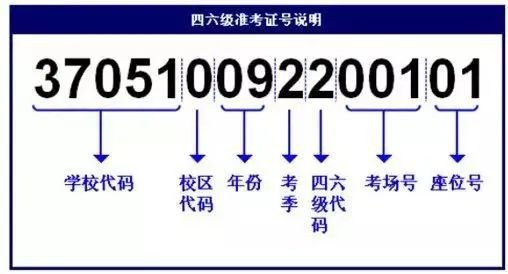 2024六級成績身份證查詢入口_六級考試成績查詢入口身份證_六級成績查詢入口官網身份證