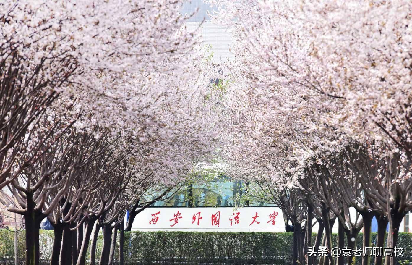 二本外國(guó)語(yǔ)大學(xué)_二本大學(xué)外國(guó)語(yǔ)學(xué)院_國(guó)內(nèi)二本外國(guó)語(yǔ)大學(xué)都有哪些