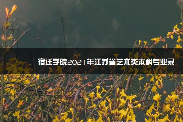 宿遷學(xué)院預(yù)估分?jǐn)?shù)線(xiàn)2021_宿遷學(xué)院分?jǐn)?shù)線(xiàn)_宿遷學(xué)院專(zhuān)業(yè)錄取分?jǐn)?shù)線(xiàn)位次