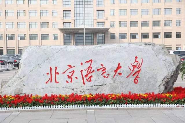 世界語言排行榜2019_世界語言排名_世界排名的語言