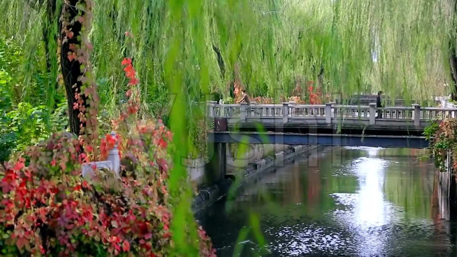 珠海理工多少分_2024年北京理工大學(xué)珠海分院錄取分?jǐn)?shù)線（2024各省份錄取分?jǐn)?shù)線及位次排名）_珠海理工大學(xué)分?jǐn)?shù)線是多少