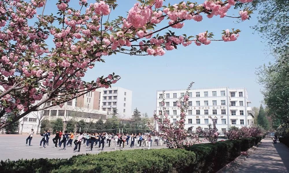 延安大學西安創新學院教務管理_延安大學西安創新學院教務_延安大學西安創新學院教務