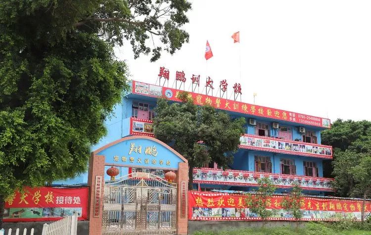 重慶銀利寵物美容學(xué)校_重慶寵物美容培訓(xùn)學(xué)校排名_重慶銀利寵物學(xué)校學(xué)費