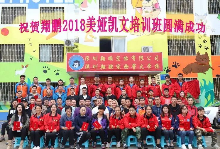 重慶銀利寵物美容學(xué)校_重慶寵物美容培訓(xùn)學(xué)校排名_重慶銀利寵物學(xué)校學(xué)費