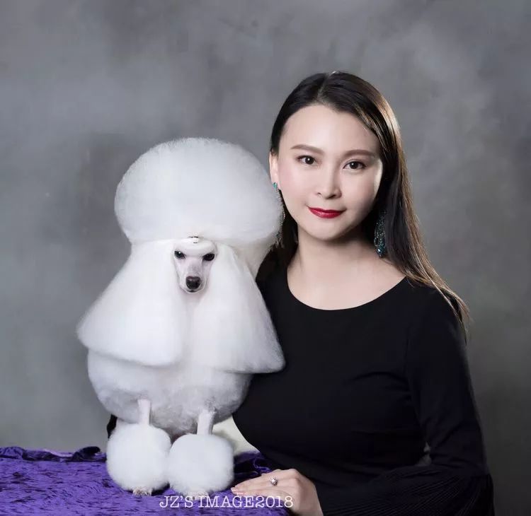 重慶銀利寵物美容學(xué)校_重慶銀利寵物學(xué)校學(xué)費_重慶寵物美容培訓(xùn)學(xué)校排名
