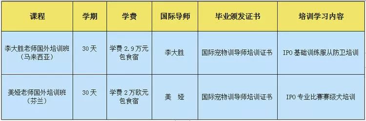 重慶銀利寵物美容學(xué)校_重慶銀利寵物學(xué)校學(xué)費_重慶寵物美容培訓(xùn)學(xué)校排名