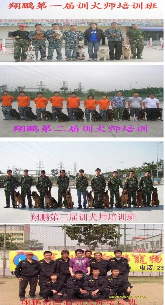 重慶銀利寵物學(xué)校學(xué)費_重慶寵物美容培訓(xùn)學(xué)校排名_重慶銀利寵物美容學(xué)校