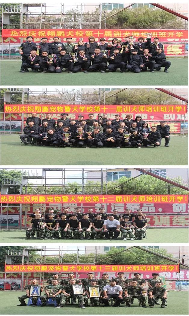 重慶銀利寵物學(xué)校學(xué)費_重慶寵物美容培訓(xùn)學(xué)校排名_重慶銀利寵物美容學(xué)校