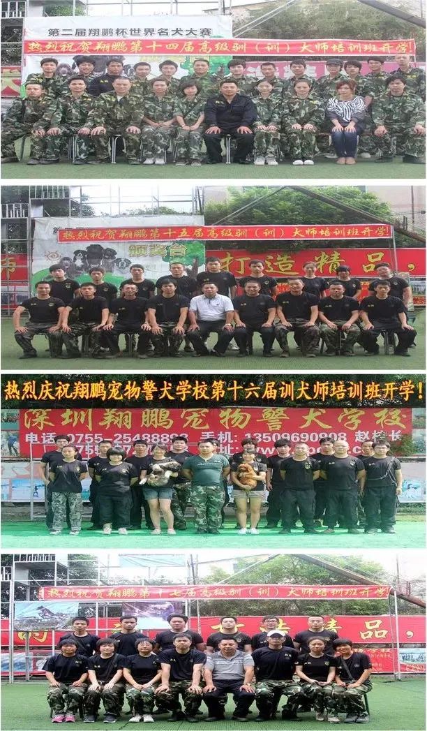 重慶銀利寵物學(xué)校學(xué)費_重慶寵物美容培訓(xùn)學(xué)校排名_重慶銀利寵物美容學(xué)校