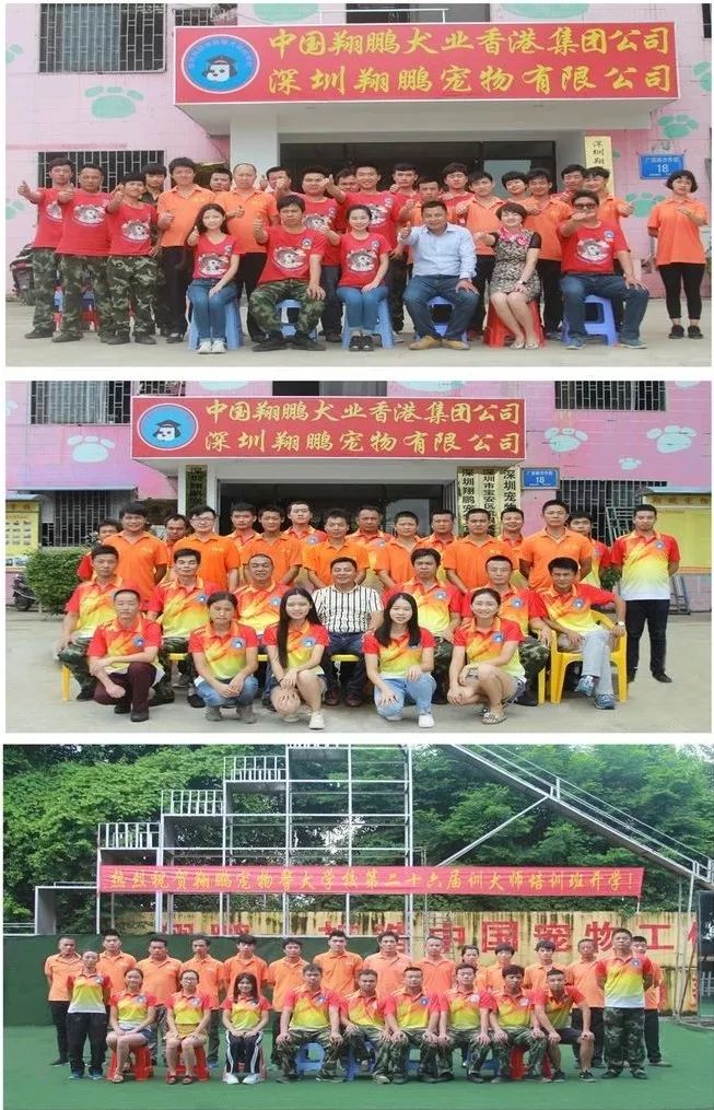 重慶銀利寵物學(xué)校學(xué)費_重慶寵物美容培訓(xùn)學(xué)校排名_重慶銀利寵物美容學(xué)校