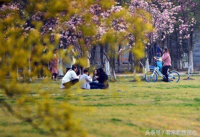 皖西學院是幾本院校？在安徽排名怎么樣？最好的專業是什么？