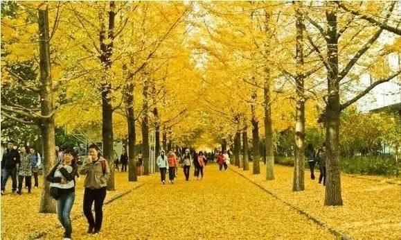 皖西學院是幾本院校？在安徽排名怎么樣？最好的專業是什么？