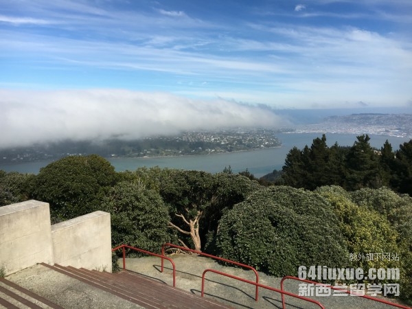 留學新西蘭大學的條件