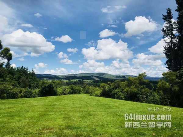 新西蘭音樂學專業好就業嗎